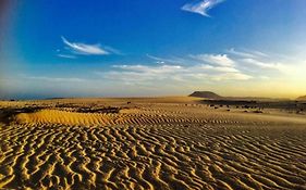 Desert Of Love